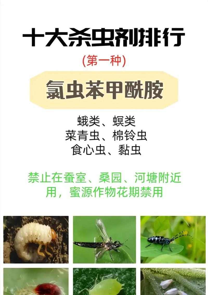 文章详情图片
