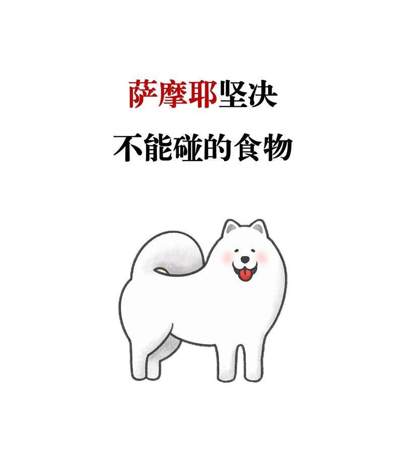 以萨摩耶犬的毛发护理和饮食要点（为了拥有一身亮丽长毛，要注意以下关键饮食要点）