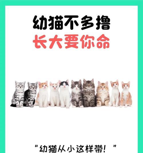 文章详情图片