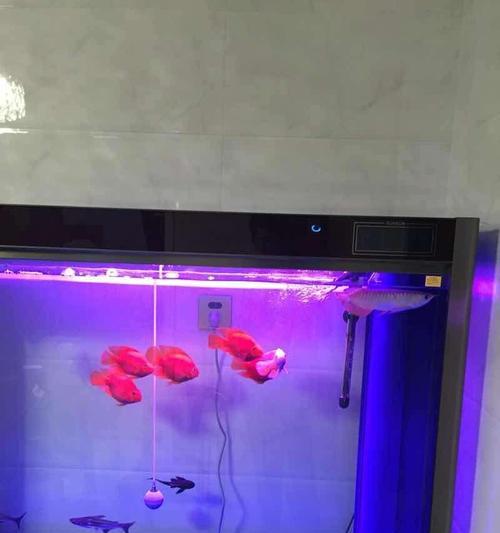 文章详情图片
