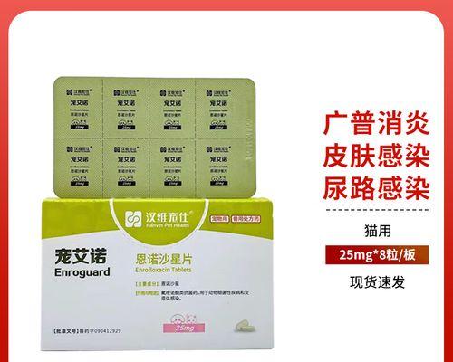 猫咪消炎药的正确使用对健康至关重要