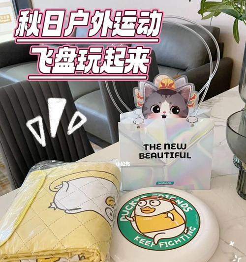 飞盘的无限可能：多场景创意应用解析