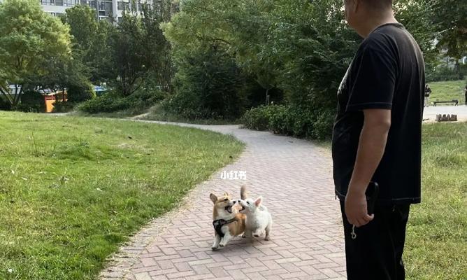 文章详情图片