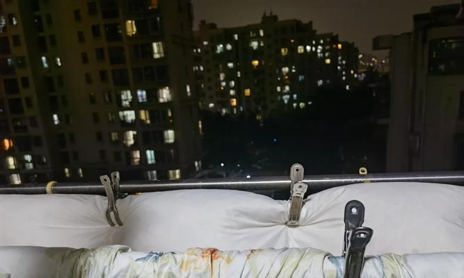 猫咪尿床全解析：常见原因与科学解决方法
