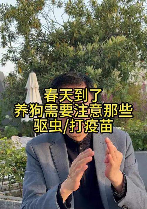 幼犬驱虫与疫苗后洗澡间隔指南