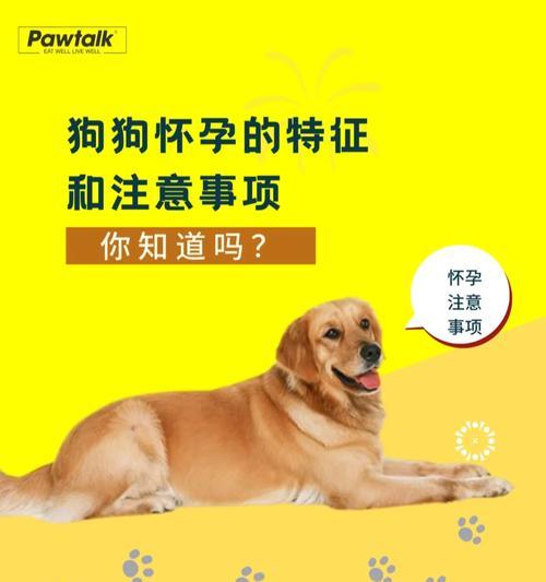 购买宠物狗注意事项：品种选择 健康考量与生活方式匹配