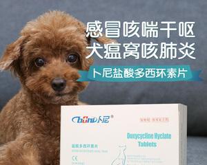 狗狗喉咙疼痛诊治指南及护理建议