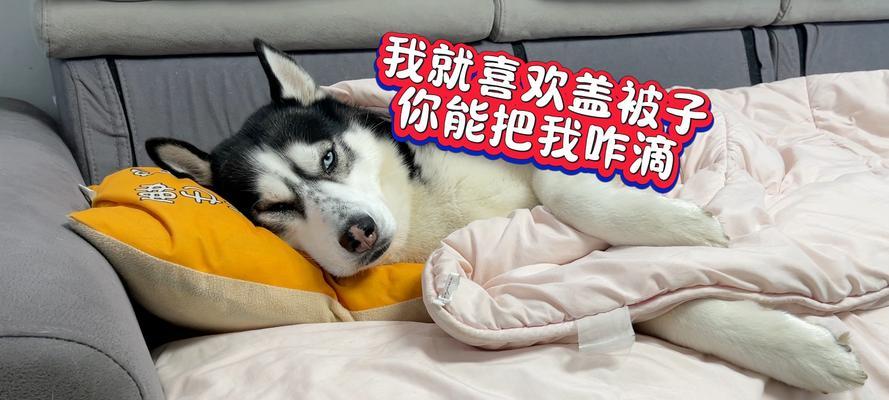 盖被子对睡眠与健康的好处分析