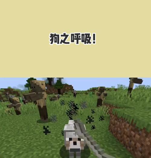 小狗喘气声音常见原因与健康问题关系解析