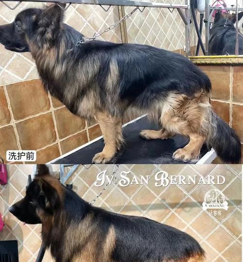 文章详情图片