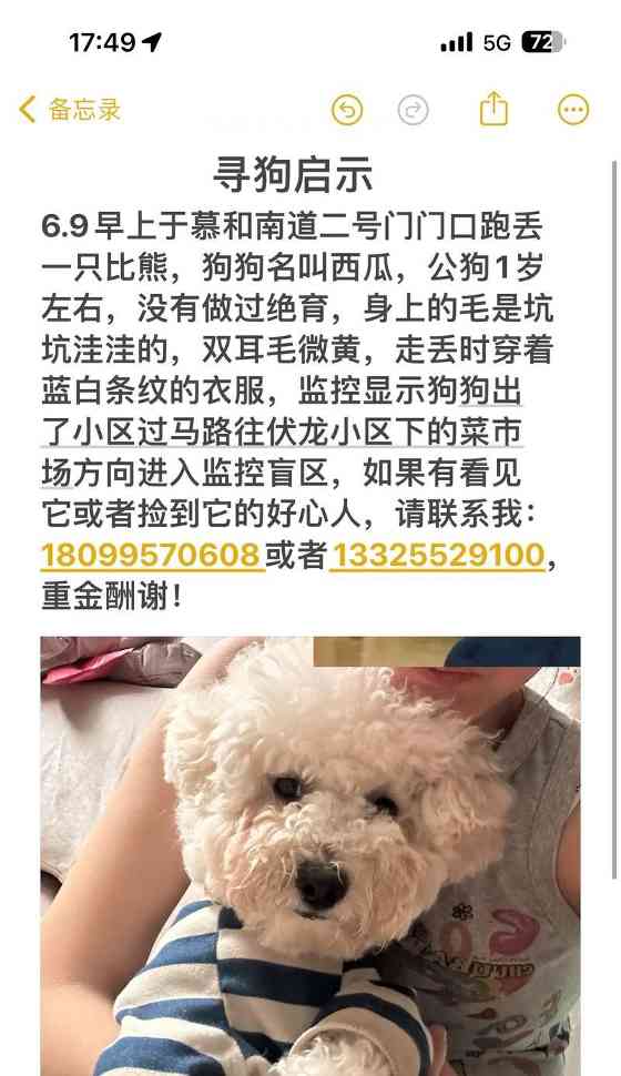文章详情图片
