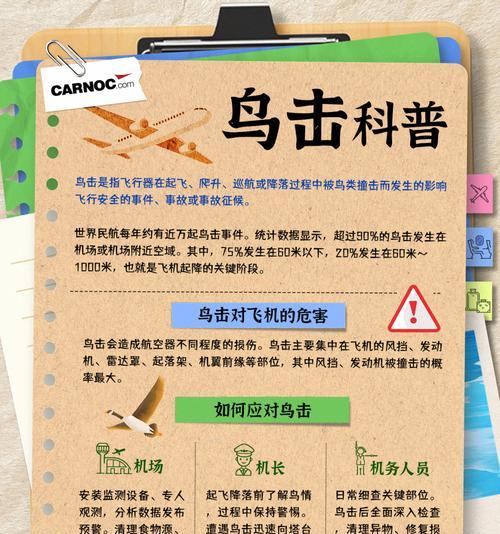 鸟类的潜在危害：生态保护与人鸟共存新挑战