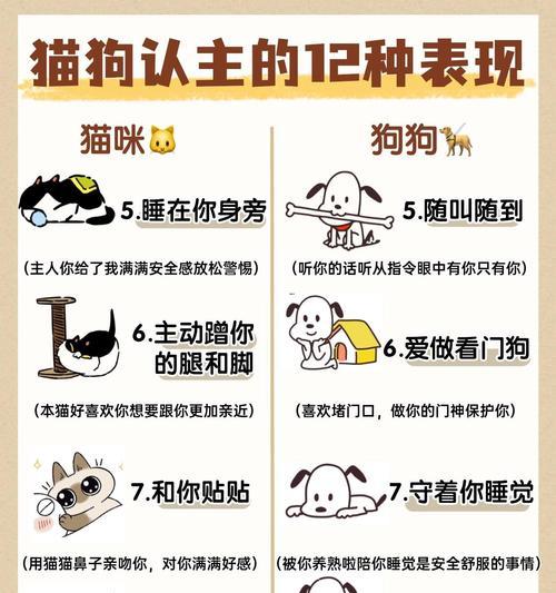 狗狗识别主人的15种行为表现与情感信号