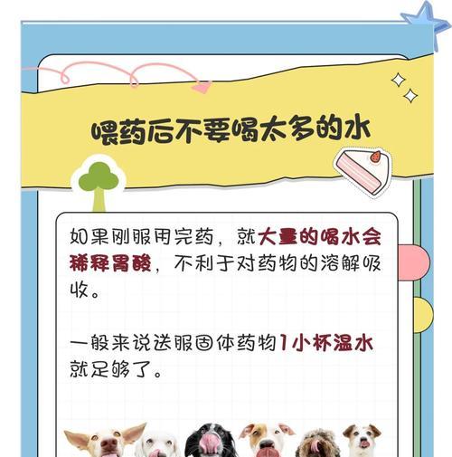 狗狗误食老鼠药急救指南与预防措施