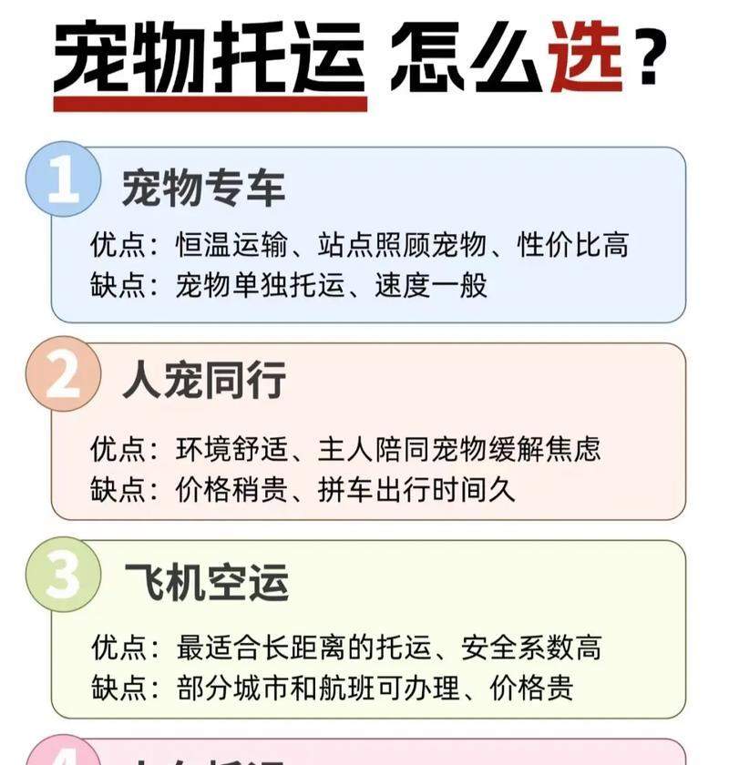 宠物托运全攻略：手续准备与安全注意事项指南