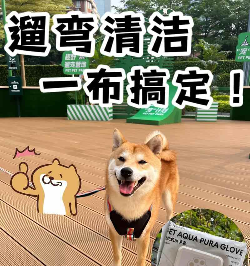 狗狗屁股清洁五步指南 提升宠物健康与舒适