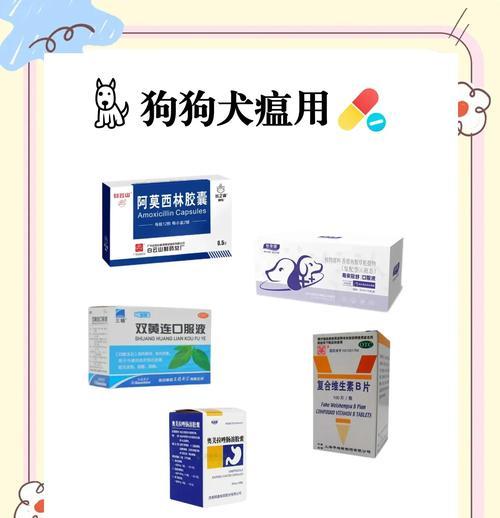 狗狗感冒治疗全攻略：如何区分感冒与细小犬瘟