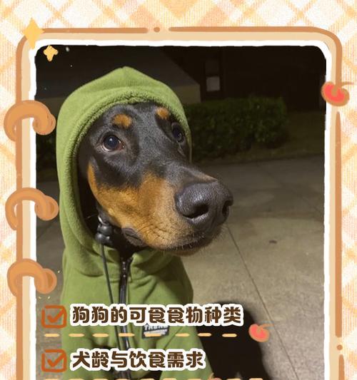 文章详情图片