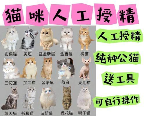 文章详情图片