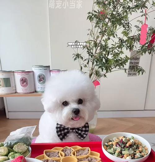 狗狗可以吃哪些果蔬？营养与健康指南