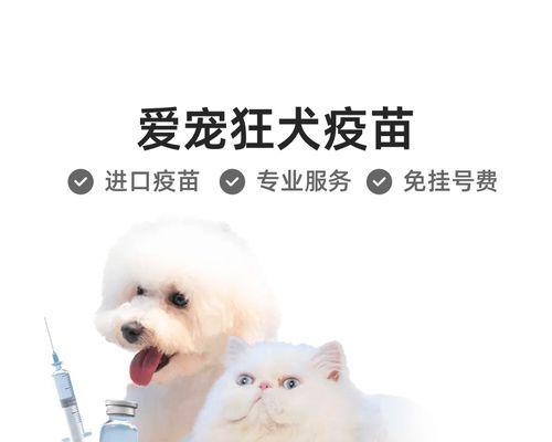 狗狗疫苗后洗澡时间安排与注意事项