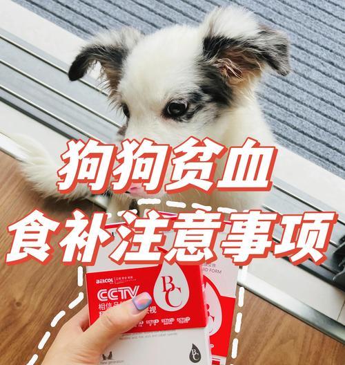文章详情图片
