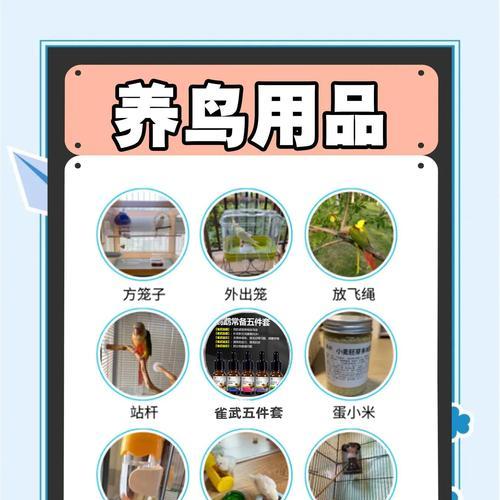 虎皮鹦鹉繁殖周期详解及配对行为指南