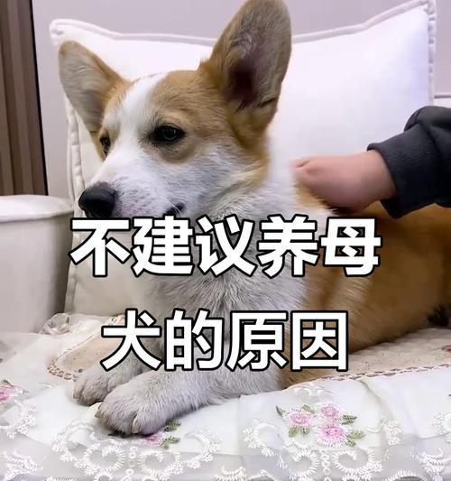 文章详情图片