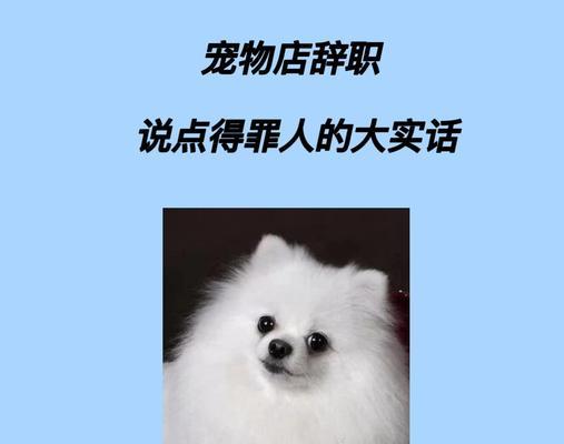 文章详情图片