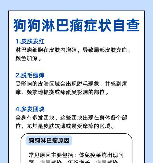 文章详情图片