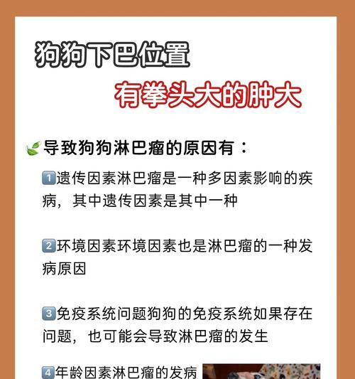 文章详情图片
