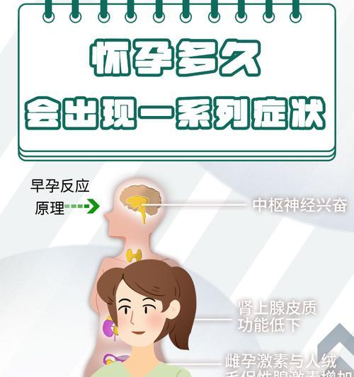 怀孕多久会生？孕期阶段与分娩时间解析