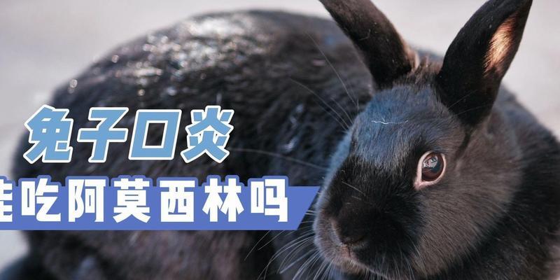 文章详情图片