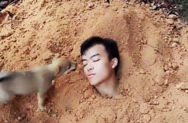 文章详情图片