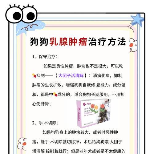狗狗乳腺肿瘤饮食指南：健康食谱助抗癌