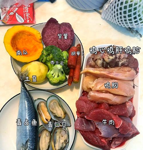 泰迪狗饮食指南：健康食物与禁忌全解析