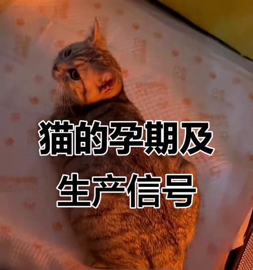 文章详情图片