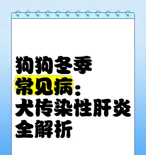狗狗常见烈性传染病及其预防治疗全解析