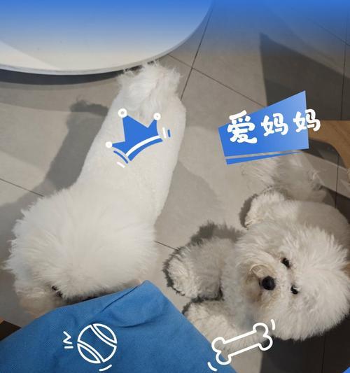 文章详情图片