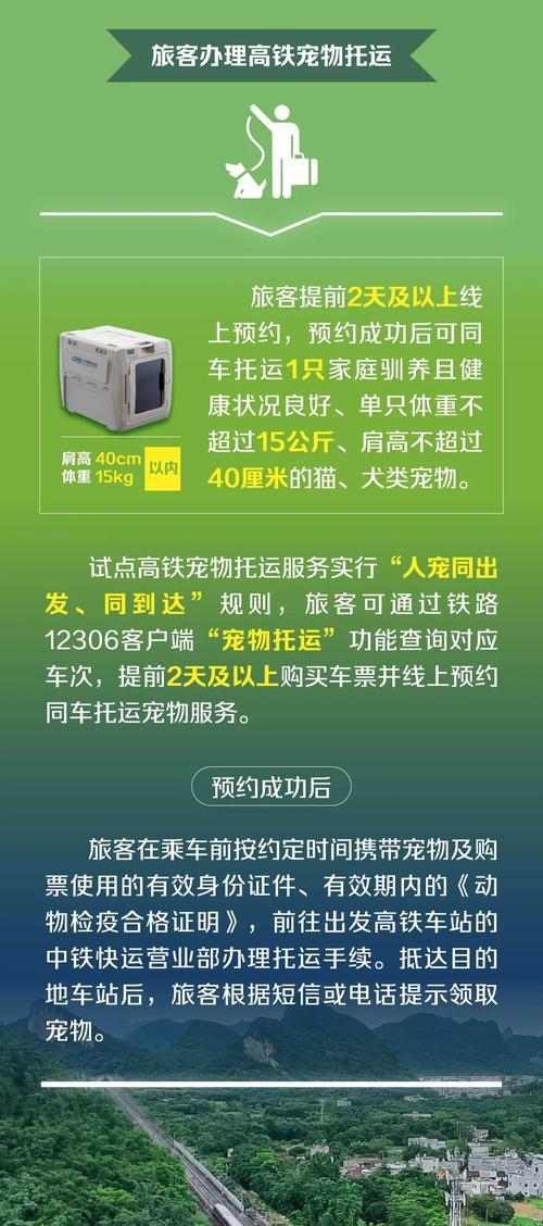 动车带宠物旅行全攻略：类型规定与注意事项
