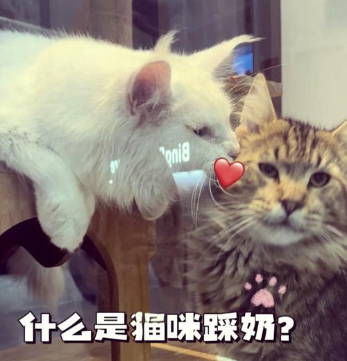 文章详情图片