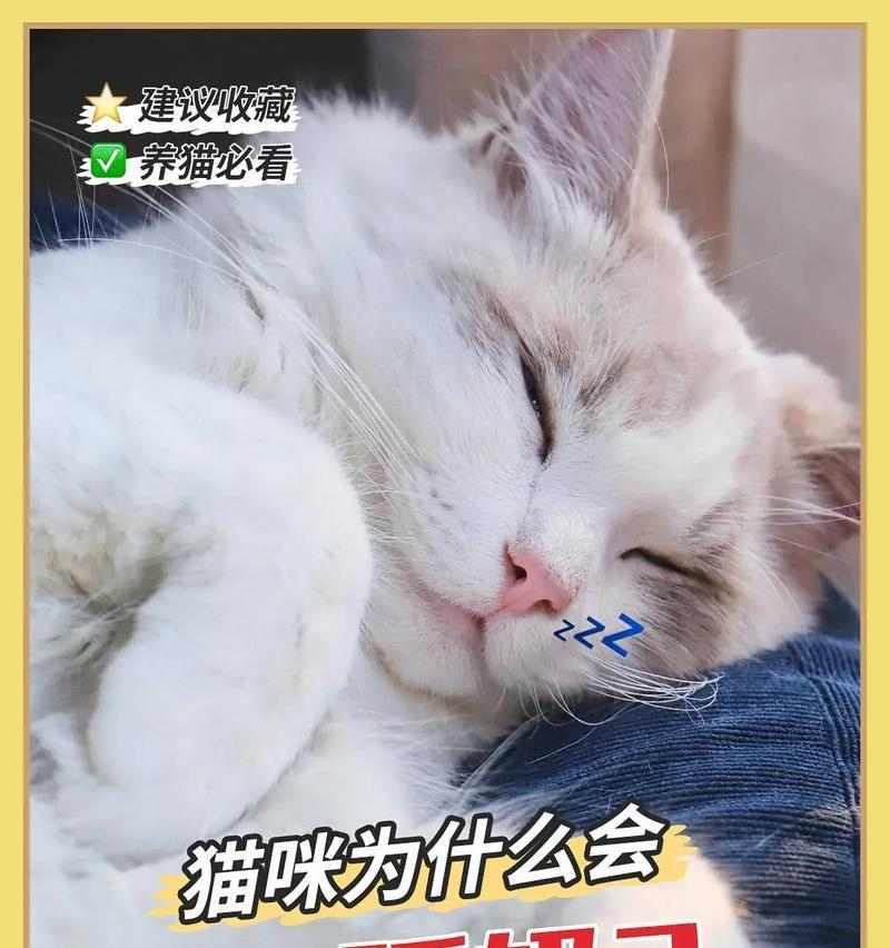 文章详情图片