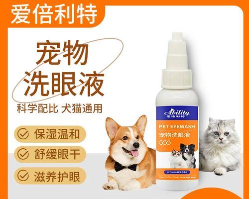 正确清洁猫咪眼睛的方法与注意事项