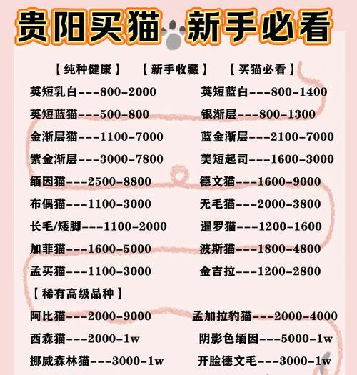 养猫成本全解析：全方位预算指南