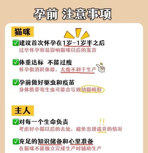 猫咪怀孕周期与健康注意事项全解析