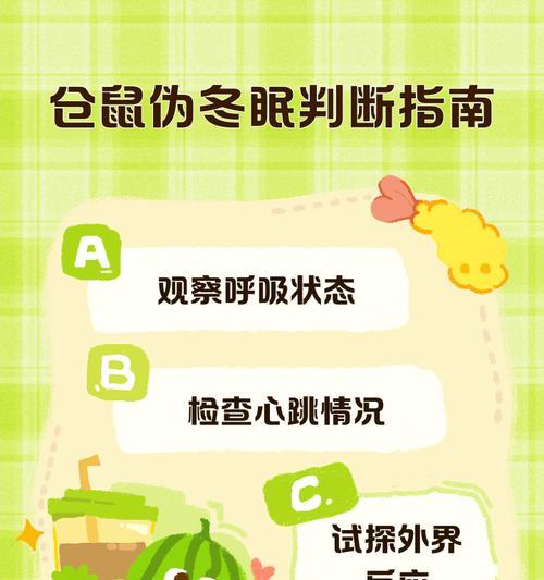 仓鼠伪冬眠所需保暖时间及全面护理指南