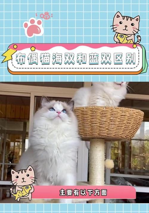 文章详情图片