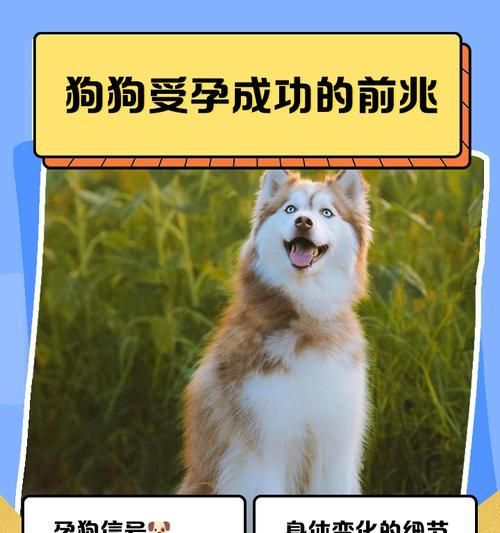 文章详情图片