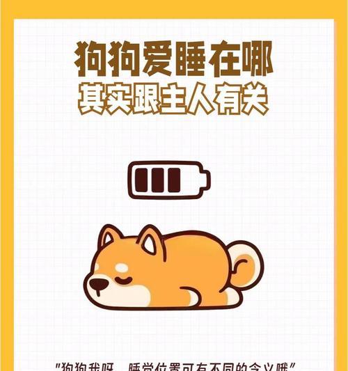 文章详情图片