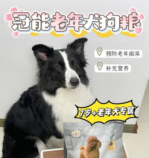 文章详情图片